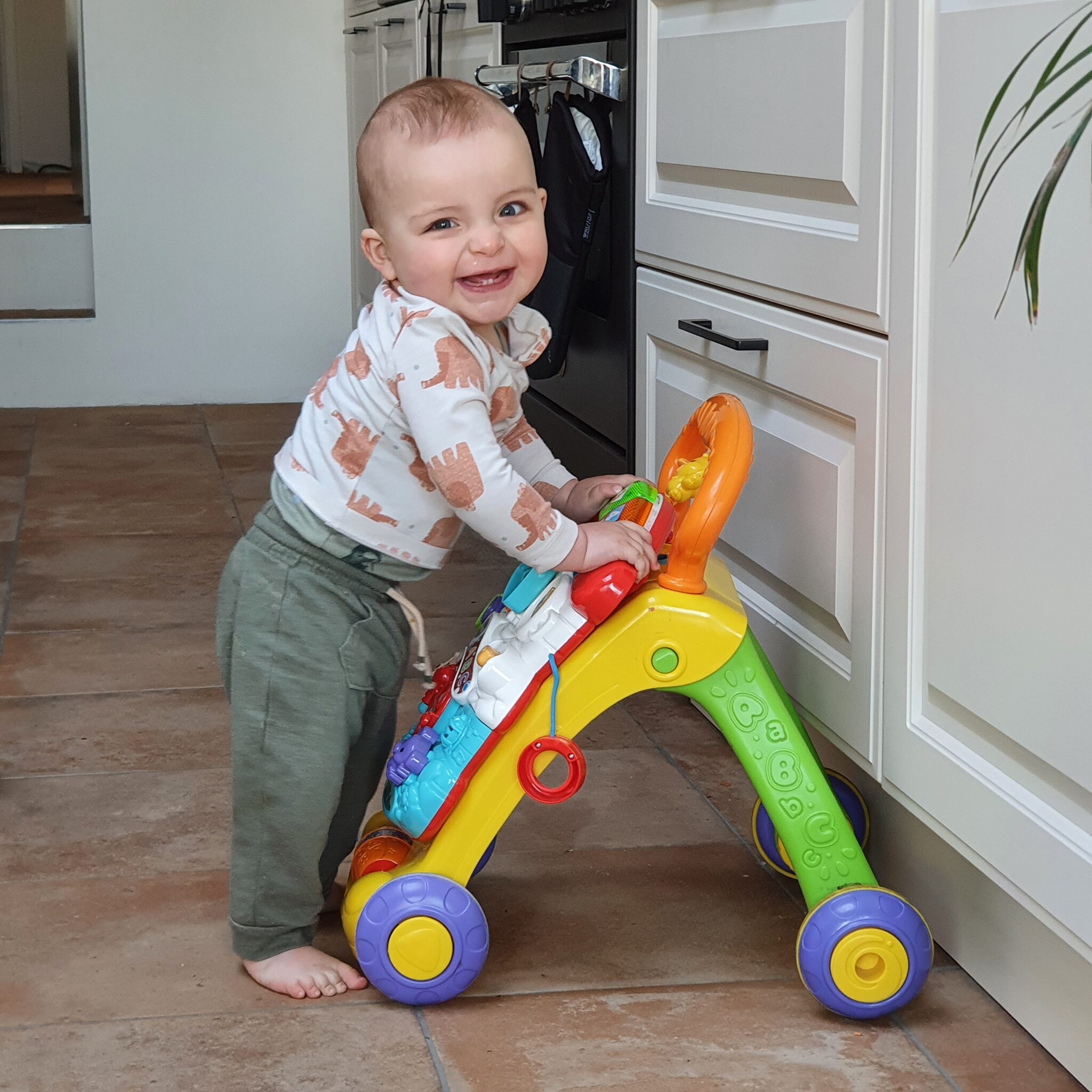 Baby van 6 tot 12 maanden