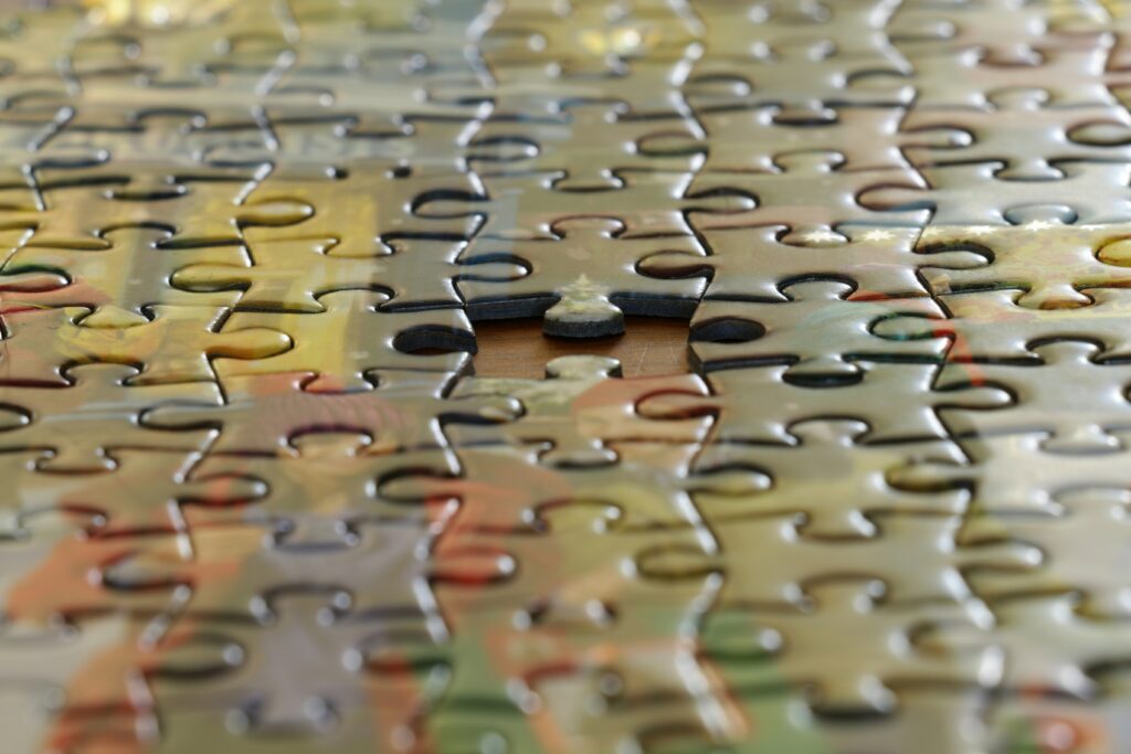 WASGIJ puzzels